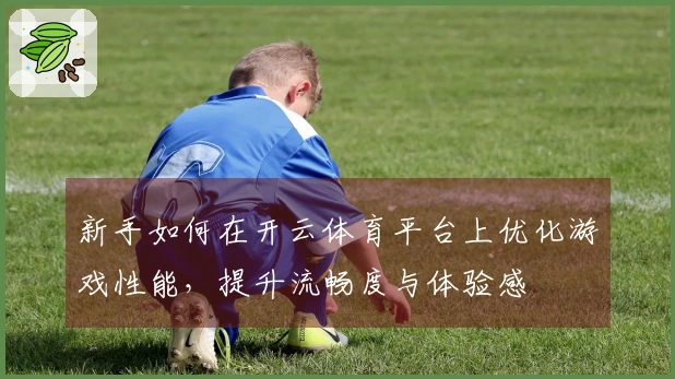 新手如何在开云体育平台上优化游戏性能，提升流畅度与体验感