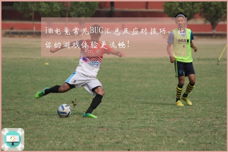 im电竞常见BUG汇总及应对技巧，让你的游戏体验更流畅！