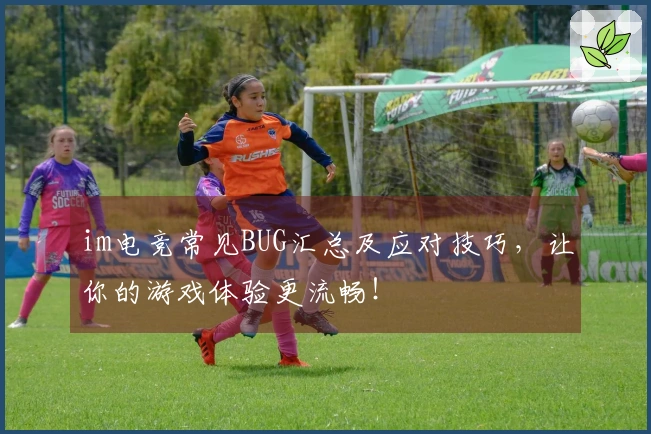 im电竞常见BUG汇总及应对技巧，让你的游戏体验更流畅！
